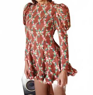 NEW CELIA B acacia mini dress in brown